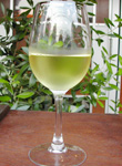 Vini bianchi 白ワイン